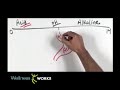 See Video