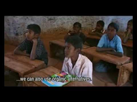 how to apply for indian status in nl