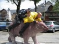 bande de motar fou 2 bande de motar fou 2