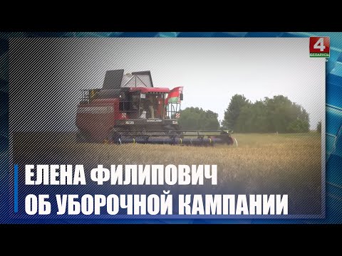 Уборочная кампания — 2023. Техника, кадры, прогнозы аграриев в интервью с Еленой Филипович видео