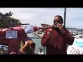 Clip 6 Dolphin Demo