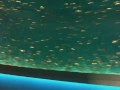 More of Monterey Bay