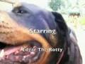 Edgar Returns - Funny Rotty Part 3