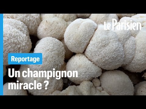 Image de prévisualisation YouTube