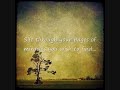 Teledysk i tekst piosenki Zakk Wylde - Too Numb To Cry