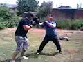 gloscat boxing 1 gloscat boxing 1