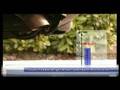 Valeo institutional video