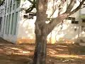 REC Warangal Campus