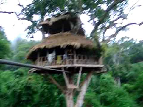 Gibbon Experience (Bokeo Forest, Laos)