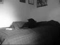 videos de Untitled