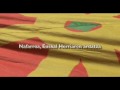 Nafarroa, Euskal Herriaren ardatza