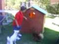 circus Alfie