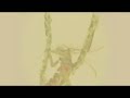 Takagi Masakatsu - el viento - Lumines II