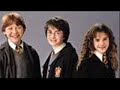 Hermione has Wings