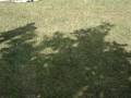 videos de Patada Domino Sergio