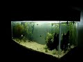 Sistema de alimentação de peixes. Desenvolvido por João Basso. Visão geral do funcionamento. 