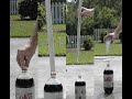 mentos and diet coke explosion at 1200fps: casio ex f1