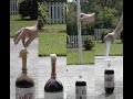 Mentos and Diet Coke Explosion at 1200fps: Casio EX-F1 Mentos and Diet Coke Explosion at 1200fps: Casio EX-F1