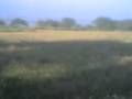 videos de Se venden lotes en Fraccionamiento Nuevo Cuiteo con vista asia el lago (nuevo)