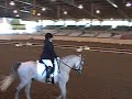 Nico Dressage Training Level - Test One Nico Dressage Training Level - Test One
