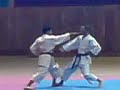 Rachad Bernoussi Karate -14