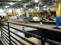 videos de Skateboard kid at the skate park called Woodard in the Grape