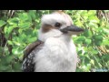 Outback: overview of the Australian Outback