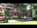 A speeded up video showing the move of Jim Gary's dinosaur sculptures from storage in Colts Neck NJ to the Tallhassee Museum in Florida. Filming and Editing by Hal Sokolow. Original musical soundtrack 