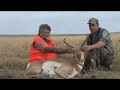 Dennis Antelope Hunt Dennis Antelope Hunt