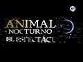 Chamos en Animal Nocturno