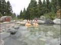Minamiuonuma Onsen - Hot springs Autumn