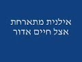 אילנית מוציאה את ישראלית