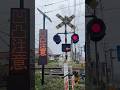 JR鹿児島本線 幡崎踏切 田代〜弥生ヶ丘駅間 #踏切 #鉄道 #shorts