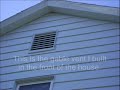 Dog and misc house stuff
