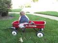 Tasman's Wagon