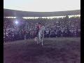 JOAN SEBASTIAN - PURO MICHOACAN !!!!