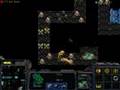 Starcraft Tricks