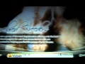Today Show story on Purebred Breeders