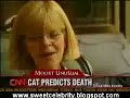 Cat predicts death Grim 'pussy' Reaper's - Thumb #2