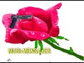MUSI-MENSAJES MUSI-MENSAJES