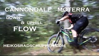 Cannondale Moterra im Einsatz