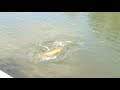 Monster Musky Madness