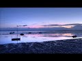 Organza - Aloha