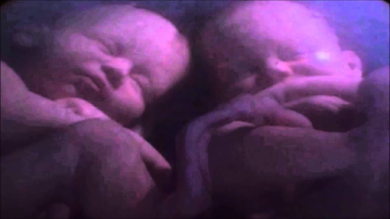 Baby’s spreken over geloof