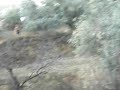 MOV03000