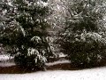snowtime snowtime