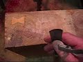 butterfly repair