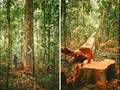 Assistir ao v�deo