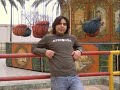 وائل كافورى سالونى