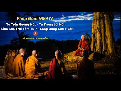 Pháp Đàm NIKAYA - Tu Trên Gương Mặt - Tu Trong Lời Nói - Làm Sao Trải Tâm Từ ? Công Dụng Của Ý Căn A